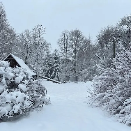 בית נופש Maly Dom 21 Nowica