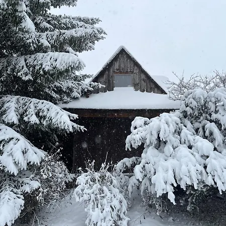 Maly Dom 21 בית נופש *