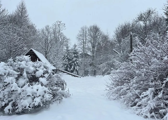 בית נופש Maly Dom 21 Nowica