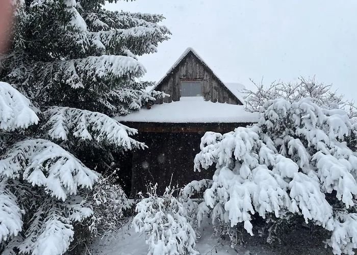 Maly Dom 21 בית נופש *